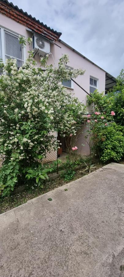 Guest House Mushmula New Athos エクステリア 写真